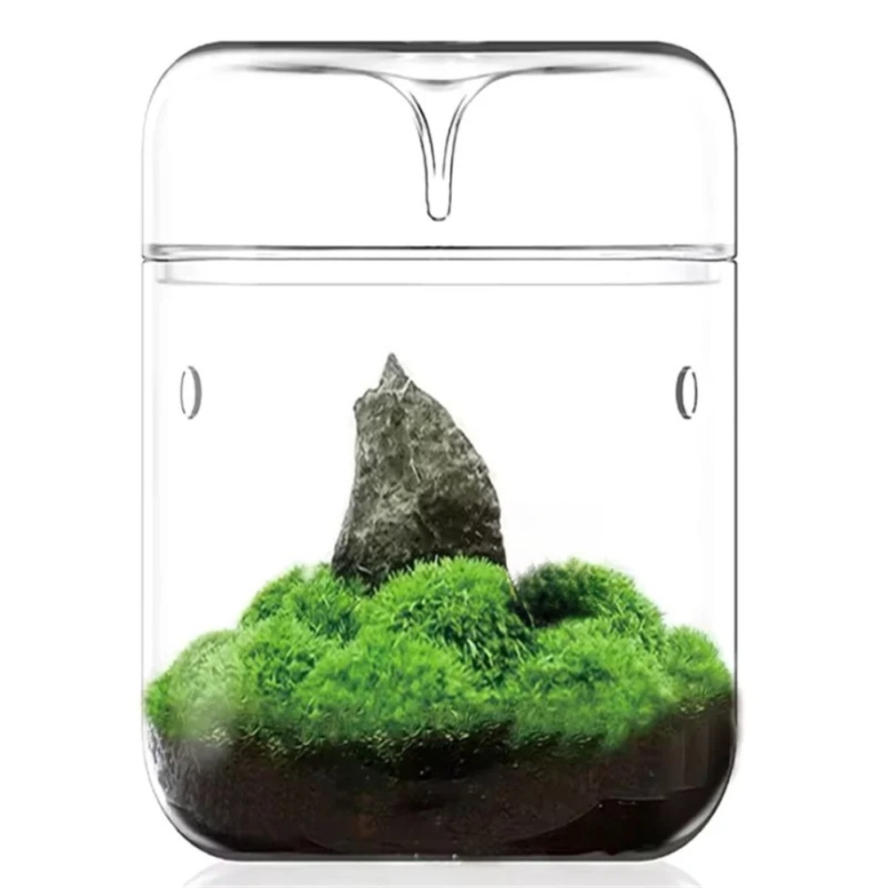 Desktop Glass Micro Landscape  - Home Office With View 评论和价格