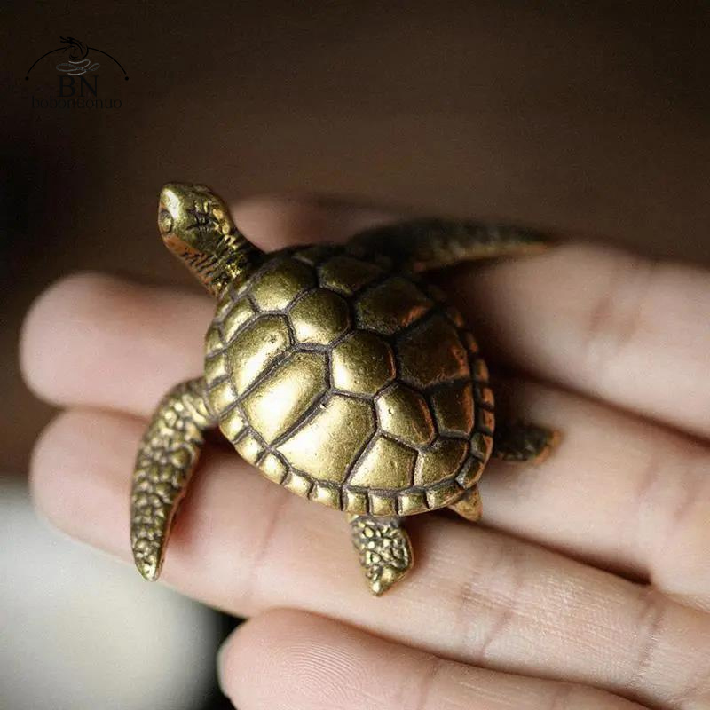 Brass Turtle Small Home Deco O - Home Office Freelancer 评论和价格