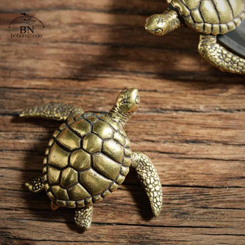 Brass Turtle Small Home Deco O - Home Office Freelancer 评论和价格
