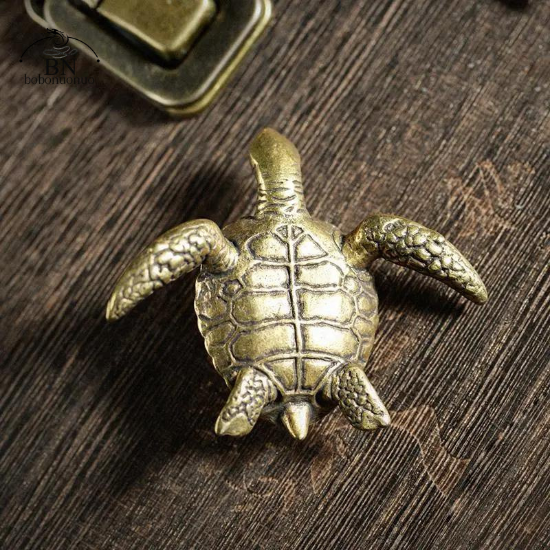 Brass Turtle Small Home Deco O - Home Office Freelancer 评论和价格
