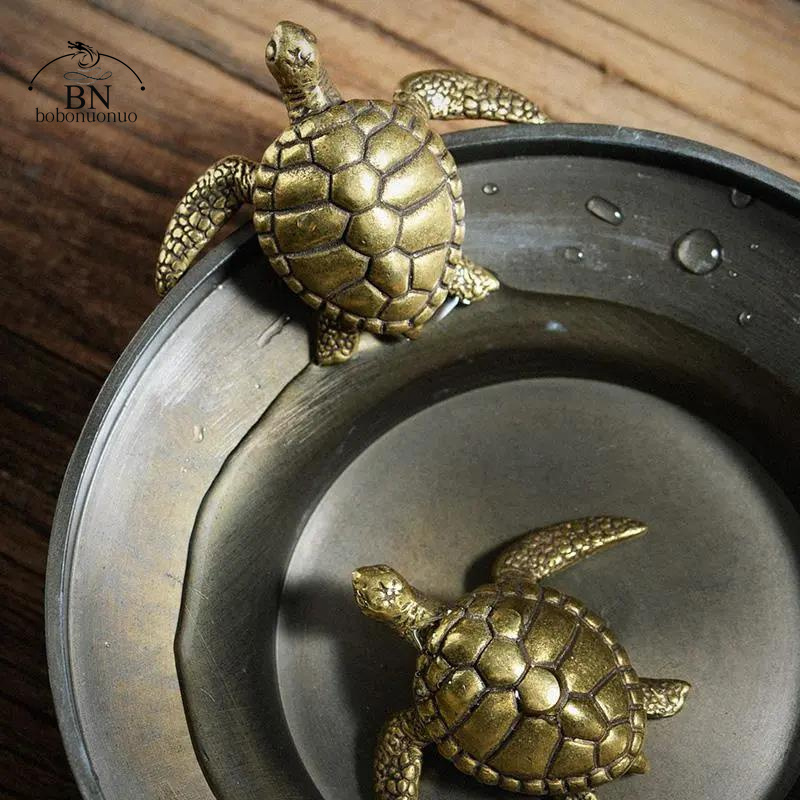 Brass Turtle Small Home Deco O - Home Office Freelancer 评论和价格